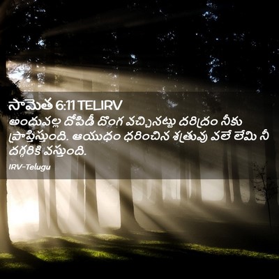 Picture 02 - సామెత 6:11 TELIRV - అందువల్ల దోపిడీ - Bible Verse Picture