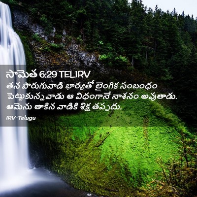 Picture 02 - సామెత 6:29 TELIRV - తన పొరుగువాడి - Bible Verse Picture