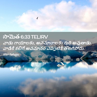 Picture 02 - సామెత 6:33 TELIRV - వాడు గాయాలకు, - Bible Verse Picture