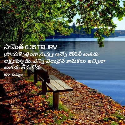 Picture 02 - సామెత 6:35 TELIRV - ప్రాయశ్చిత్తంగా - Bible Verse Picture