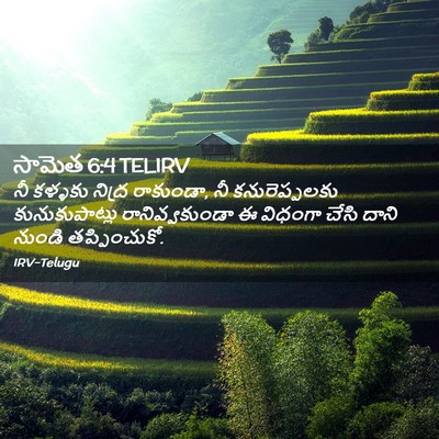Picture 02 - సామెత 6:4 TELIRV - నీ కళ్ళకు నిద్ర - Bible Verse Picture