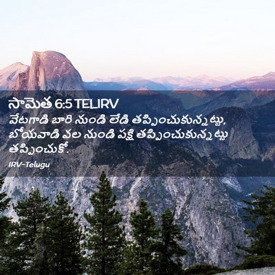 Picture 02 - సామెత 6:5 TELIRV - వేటగాడి బారి - Bible Verse Picture
