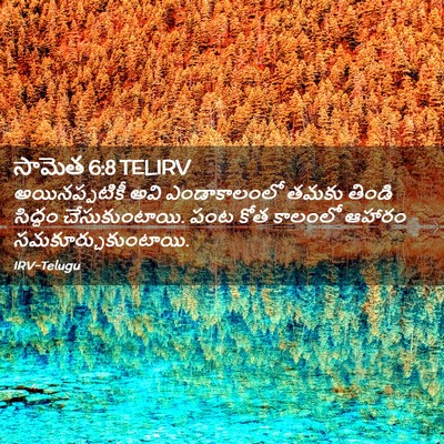 Picture 02 - సామెత 6:8 TELIRV - అయినప్పటికీ అవి - Bible Verse Picture