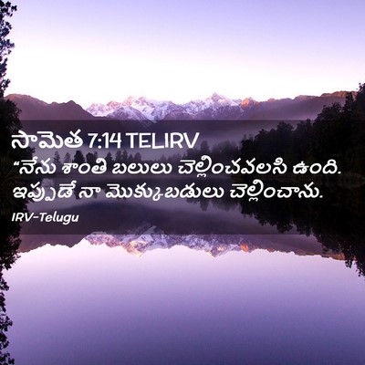 Picture 02 - సామెత 7:14 TELIRV - “నేను శాంతి బలులు - Bible Verse Picture
