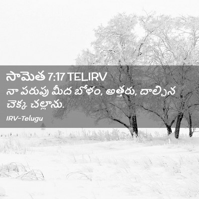 Picture 02 - సామెత 7:17 TELIRV - నా పరుపు మీద బోళం, - Bible Verse Picture