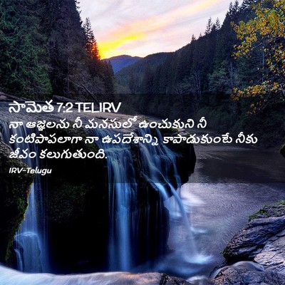 Picture 02 - సామెత 7:2 TELIRV - నా ఆజ్ఞలను నీ - Bible Verse Picture
