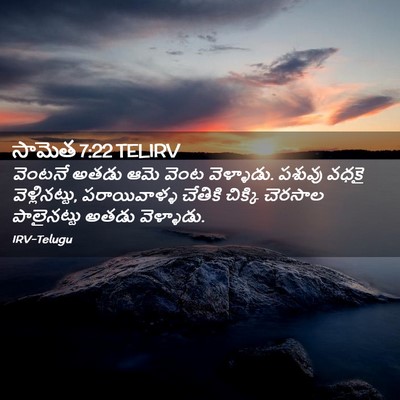 Picture 02 - సామెత 7:22 TELIRV - వెంటనే అతడు ఆమె - Bible Verse Picture