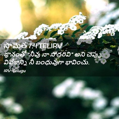 Picture 02 - సామెత 7:4 TELIRV - జ్ఞానంతో “నీవు నా - Bible Verse Picture