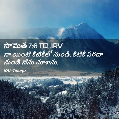 Picture 02 - సామెత 7:6 TELIRV - నా యింటి కిటికీలో - Bible Verse Picture
