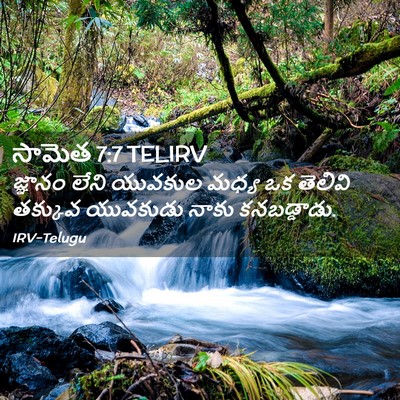 Picture 02 - సామెత 7:7 TELIRV - జ్ఞానం లేని - Bible Verse Picture