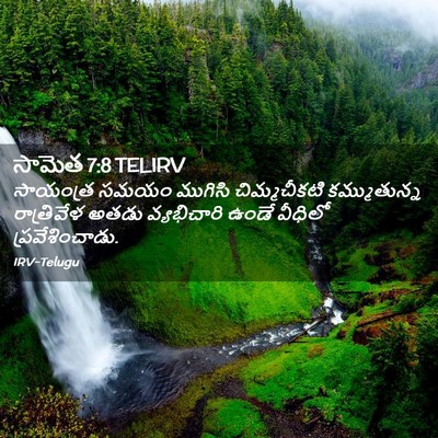 Picture 02 - సామెత 7:8 TELIRV - సాయంత్ర సమయం - Bible Verse Picture
