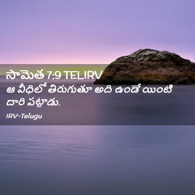 Picture 02 - సామెత 7:9 TELIRV - ఆ వీధిలో తిరుగుతూ - Bible Verse Picture