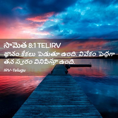 Picture 02 - సామెత 8:1 TELIRV - జ్ఞానం కేకలు - Bible Verse Picture