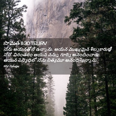 Picture 02 - సామెత 8:30 TELIRV - నేను ఆయనతోనే - Bible Verse Picture