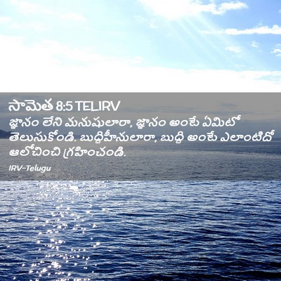 Picture 02 - సామెత 8:5 TELIRV - జ్ఞానం లేని - Bible Verse Picture