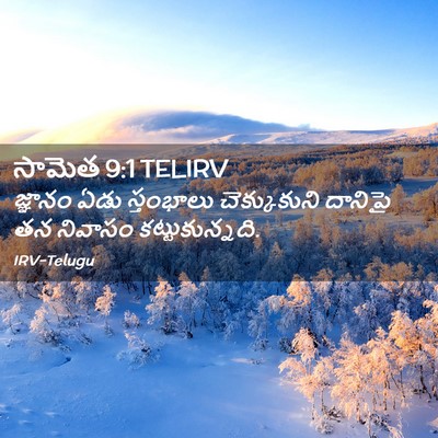 Picture 02 - సామెత 9:1 TELIRV - జ్ఞానం ఏడు - Bible Verse Picture