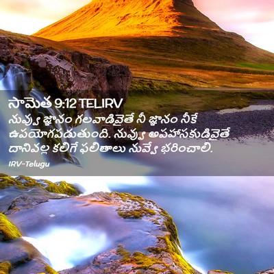 Picture 02 - సామెత 9:12 TELIRV - నువ్వు జ్ఞానం - Bible Verse Picture
