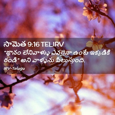 Picture 02 - సామెత 9:16 TELIRV - “జ్ఞానం - Bible Verse Picture