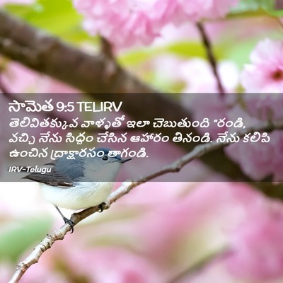 Picture 02 - సామెత 9:5 TELIRV - తెలివితక్కువ - Bible Verse Picture