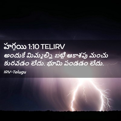Picture 02 - హగ్గయి 1:10 TELIRV - అందుకే మిమ్మల్ని - Bible Verse Picture