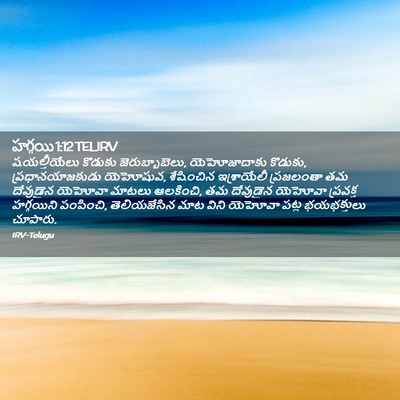 Picture 02 - హగ్గయి 1:12 TELIRV - షయల్తీయేలు కొడుకు - Bible Verse Picture