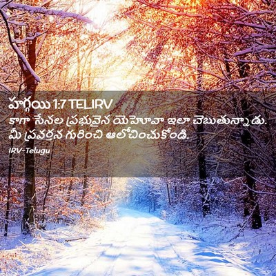 Picture 02 - హగ్గయి 1:7 TELIRV - కాగా సేనల - Bible Verse Picture