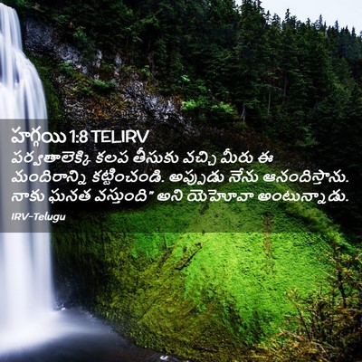 Picture 02 - హగ్గయి 1:8 TELIRV - పర్వతాలెక్కి కలప - Bible Verse Picture