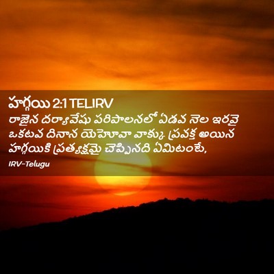 Picture 02 - హగ్గయి 2:1 TELIRV - రాజైన దర్యావేషు - Bible Verse Picture