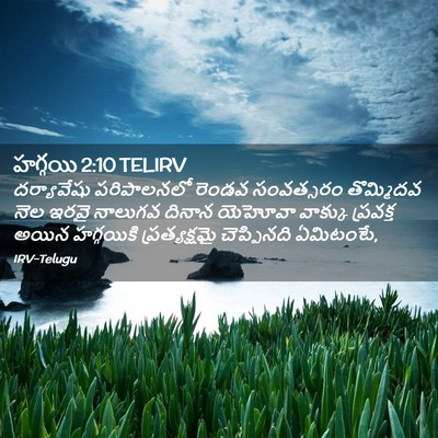 Picture 02 - హగ్గయి 2:10 TELIRV - దర్యావేషు - Bible Verse Picture