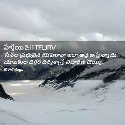 Picture 02 - హగ్గయి 2:11 TELIRV - సేనల ప్రభువైన - Bible Verse Picture