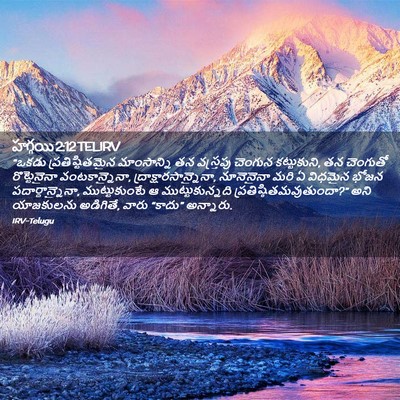Picture 02 - హగ్గయి 2:12 TELIRV - “ఒకడు - Bible Verse Picture