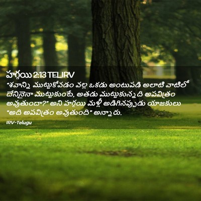 Picture 02 - హగ్గయి 2:13 TELIRV - “శవాన్ని - Bible Verse Picture