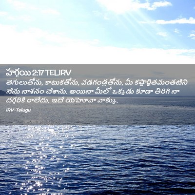 Picture 02 - హగ్గయి 2:17 TELIRV - తెగులుతోను, - Bible Verse Picture