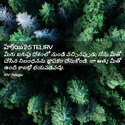 Picture 02 - హగ్గయి 2:5 TELIRV - మీరు ఐగుప్తు - Bible Verse Picture