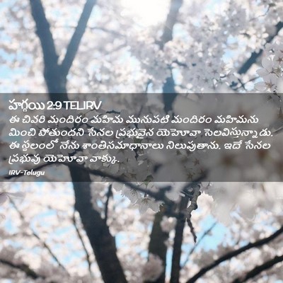 Picture 02 - హగ్గయి 2:9 TELIRV - ఈ చివరి మందిరం - Bible Verse Picture