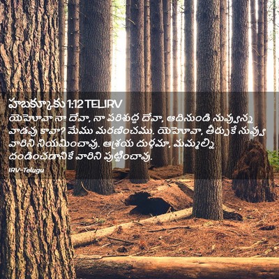 Picture 02 - హబక్కూకు 1:12 TELIRV - యెహోవా నా దేవా, నా - Bible Verse Picture