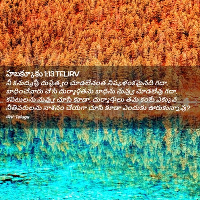 Picture 02 - హబక్కూకు 1:13 TELIRV - నీ కనుదృష్టి - Bible Verse Picture