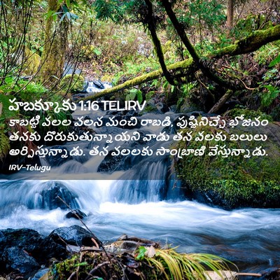 Picture 02 - హబక్కూకు 1:16 TELIRV - కాబట్టి వలల వలన - Bible Verse Picture