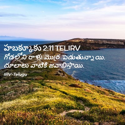 Picture 02 - హబక్కూకు 2:11 TELIRV - గోడల్లోని రాళ్లు - Bible Verse Picture