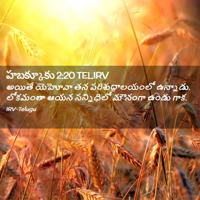 Picture 02 - హబక్కూకు 2:20 TELIRV - అయితే యెహోవా తన - Bible Verse Picture