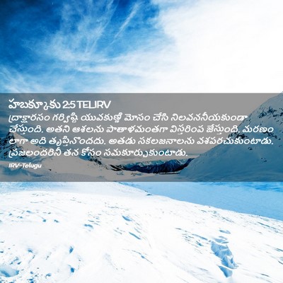 Picture 02 - హబక్కూకు 2:5 TELIRV - ద్రాక్షారసం - Bible Verse Picture