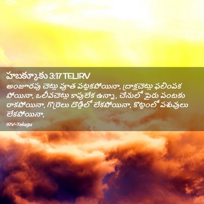 Picture 02 - హబక్కూకు 3:17 TELIRV - అంజూరపు చెట్లు - Bible Verse Picture