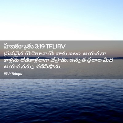 Picture 02 - హబక్కూకు 3:19 TELIRV - ప్రభువైన యెహోవాయే - Bible Verse Picture