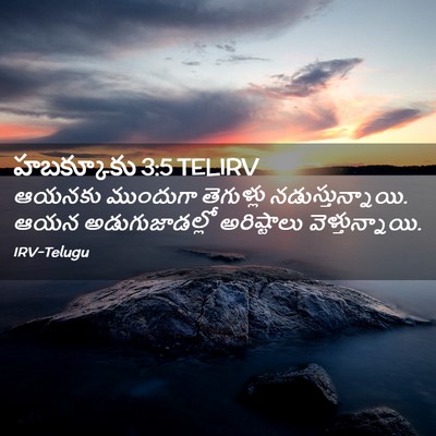 Picture 02 - హబక్కూకు 3:5 TELIRV - ఆయనకు ముందుగా - Bible Verse Picture