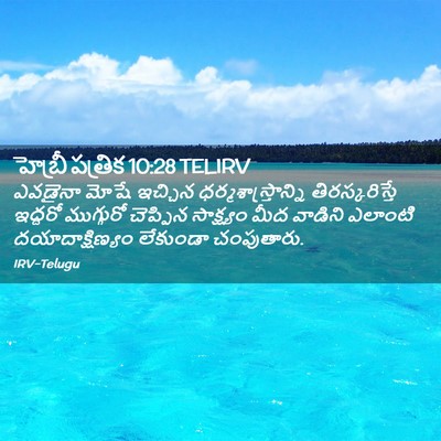 Picture 02 - హెబ్రీ పత్రిక 10:28 TELIRV - ఎవడైనా మోషే - Bible Verse Picture