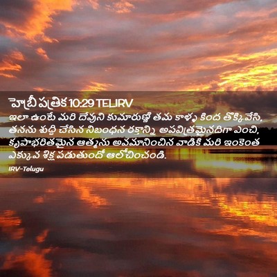 Picture 02 - హెబ్రీ పత్రిక 10:29 TELIRV - ఇలా ఉంటే మరి - Bible Verse Picture