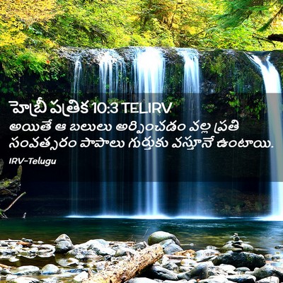 Picture 02 - హెబ్రీ పత్రిక 10:3 TELIRV - అయితే ఆ బలులు - Bible Verse Picture