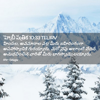 Picture 02 - హెబ్రీ పత్రిక 10:33 TELIRV - హింసల, అవమానాల - Bible Verse Picture