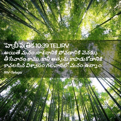 Picture 02 - హెబ్రీ పత్రిక 10:39 TELIRV - అయితే మనం - Bible Verse Picture