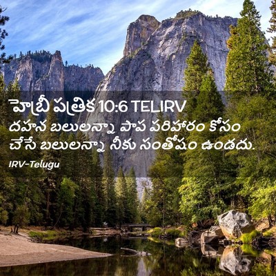 Picture 02 - హెబ్రీ పత్రిక 10:6 TELIRV - దహన బలులన్నా పాప - Bible Verse Picture